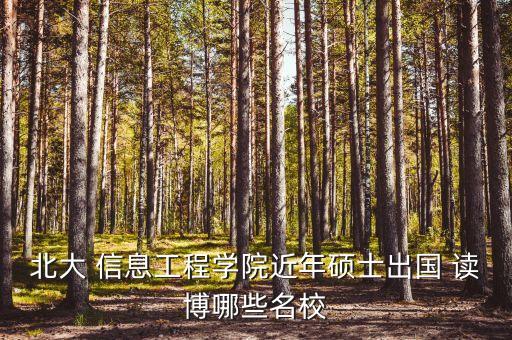 农业信息工程怎么读博,电子信息工程读博好不好