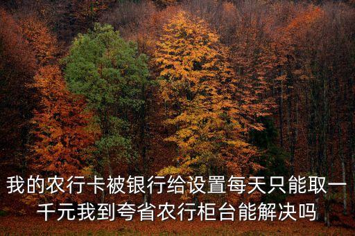 农业银行单日限额怎么取钱