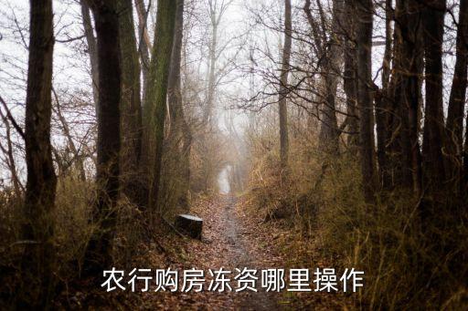 农行购房冻资哪里操作