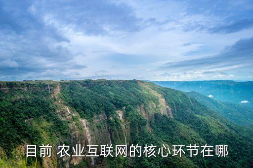 目前 农业互联网的核心环节在哪