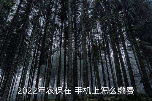 手机上怎么买农业保险呢,怎么手机上买火车票