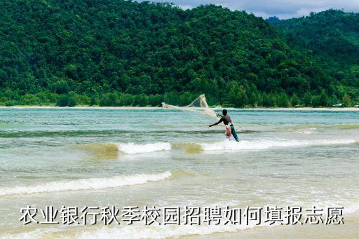 农业银行简历社团怎么填