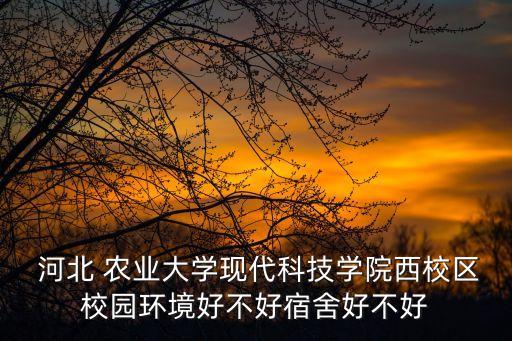  河北 农业大学现代科技学院西校区校园环境好不好宿舍好不好