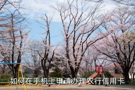 网上怎么办农业银行的卡,农业银行的卡被冻结了怎么办