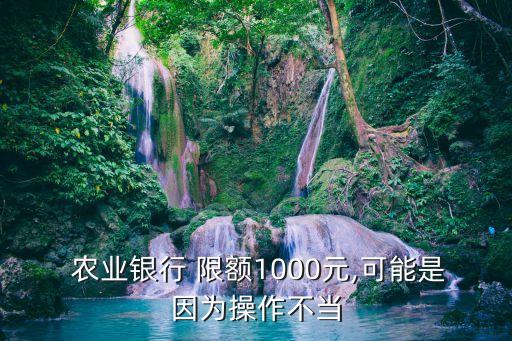  农业银行 限额1000元,可能是因为操作不当