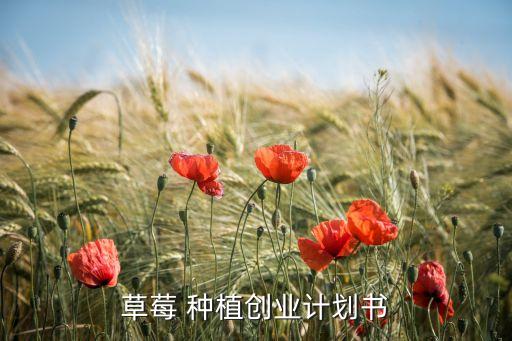 农业种植项目规划方案范文怎么写,中草药种植项目规划方案