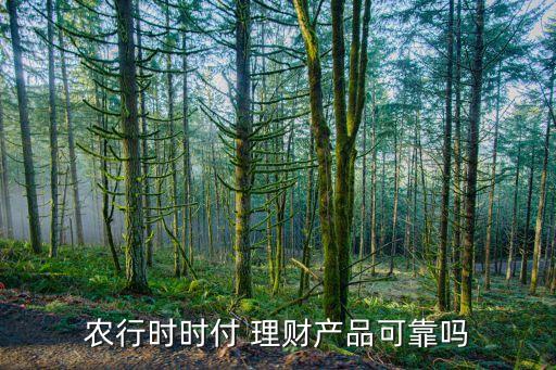 农行时时付 理财产品可靠吗