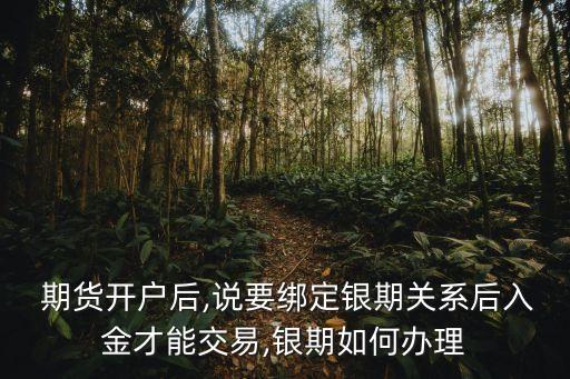  期货开户后,说要绑定银期关系后入金才能交易,银期如何办理