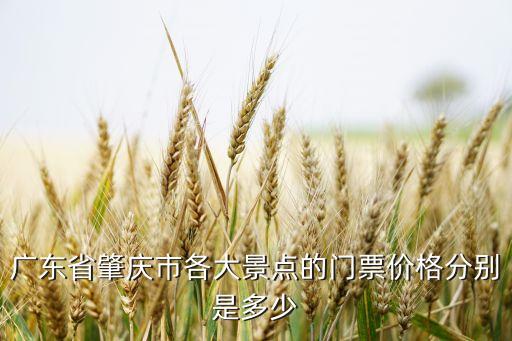 广东省肇庆市各大景点的门票价格分别是多少