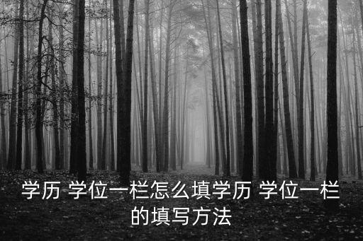 学历 学位一栏怎么填学历 学位一栏的填写方法