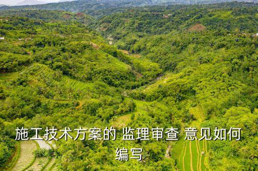 农业监理建议和意见怎么填