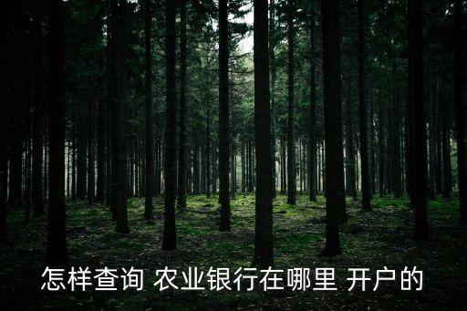 怎么查农业行开户行,农业银行卡怎样查开户行地址
