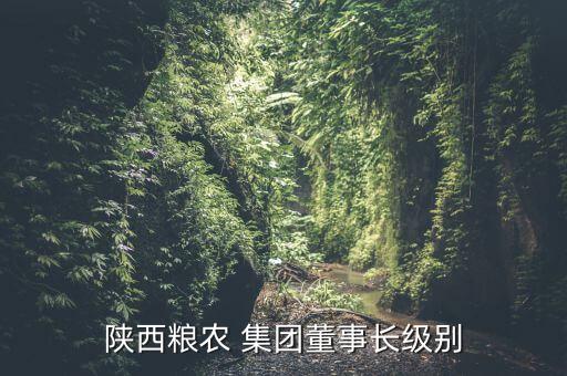 陕西粮农 集团董事长级别
