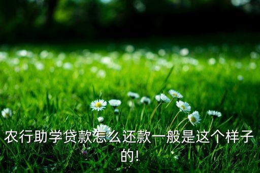 农行助学贷款怎么还款一般是这个样子的!