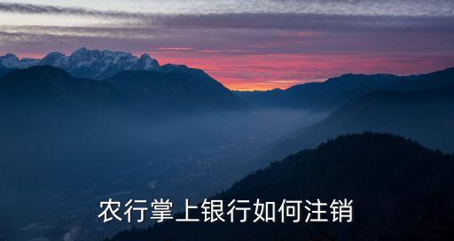 农业银行怎么手机上销卡,手机下载农业银行怎么登录