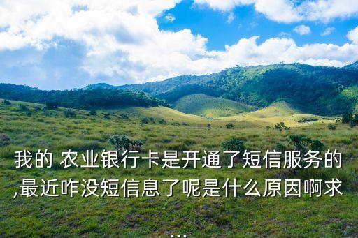 农业银行不提醒怎么办呢