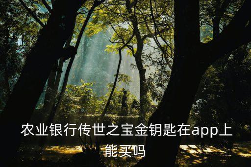  农业银行传世之宝金钥匙在app上能买吗