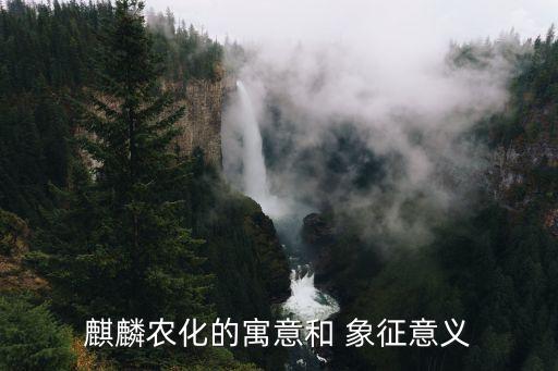 农业文化象征什么,菊花在中国文化中象征着什么