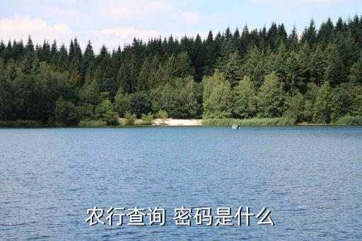 农业银行怎么检查取款密码