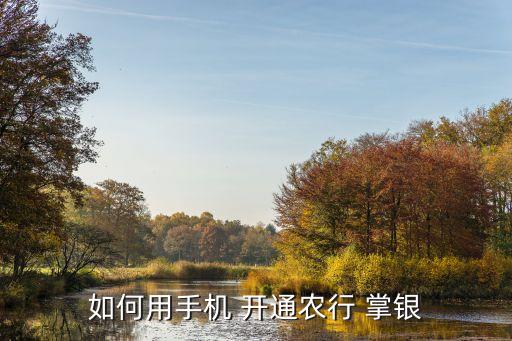 如何用手机 开通农行 掌银