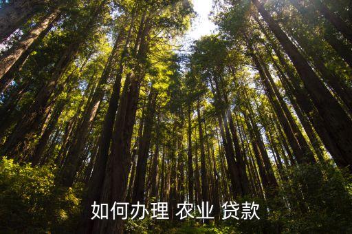 农业贷款怎么营销