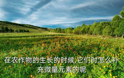 农业上怎么施用磷酸钙