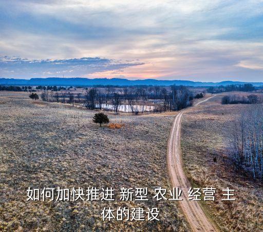 怎么培育新型农业经营主体,培育新型农业经营主体存在的困难问题