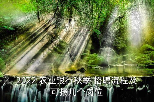 2022 农业银行秋季 招聘流程及可报几个岗位