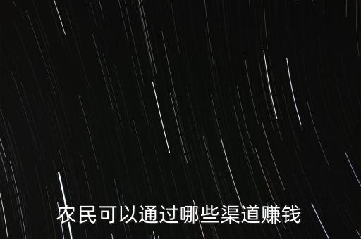 农民可以通过哪些渠道赚钱