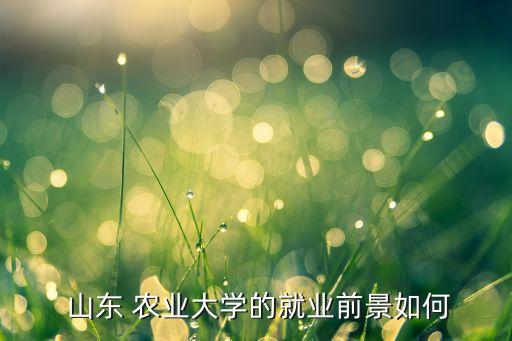  山东 农业大学的就业前景如何