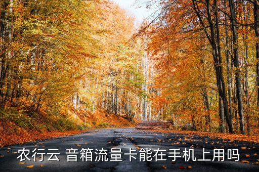 农业银行云音箱ar怎么连接
