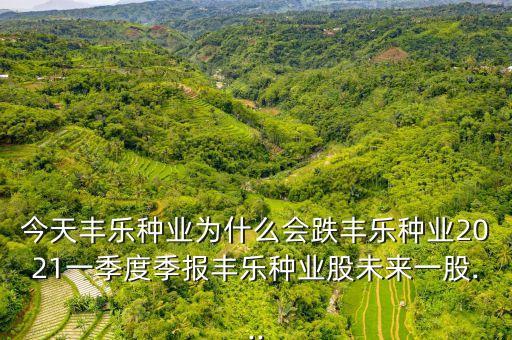 农业股怎么都在跌