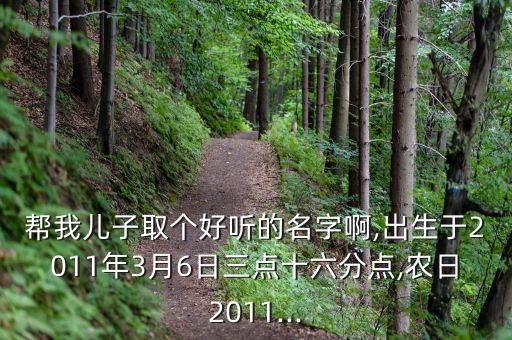 帮我儿子取个好听的名字啊,出生于2011年3月6日三点十六分点,农日2011...
