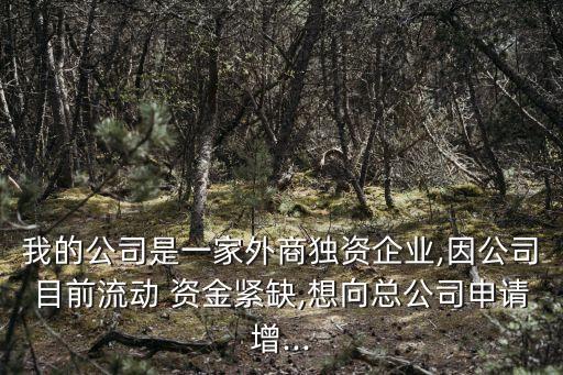 我的公司是一家外商独资企业,因公司目前流动 资金紧缺,想向总公司申请增...