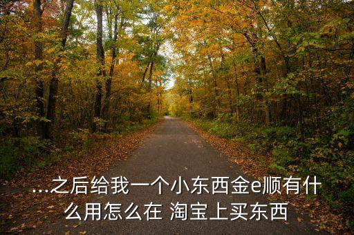 农业银行怎么在淘宝上支付,淘宝农业银行付款支付优惠