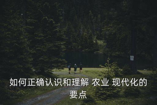 如何正确认识和理解 农业 现代化的要点