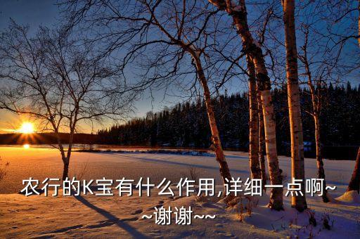 农业银行的k宝什么意思