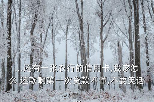 农业银行车贷怎么主动还款