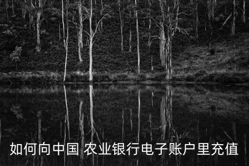 农业银行怎么向卡缴费,没有农业银行的卡怎么缴费