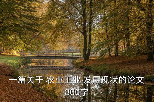 一篇关于 农业工业 发展现状的论文800字