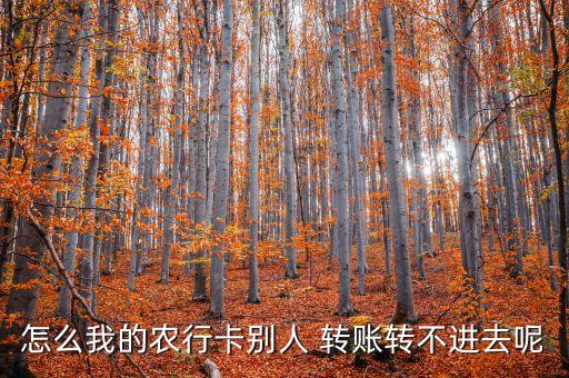农业银行拒收转账怎么回事