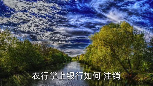 怎么注销农业网银,中国农业网银怎么登录