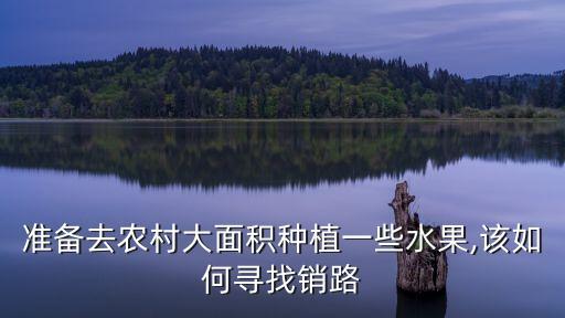 准备去农村大面积种植一些水果,该如何寻找销路