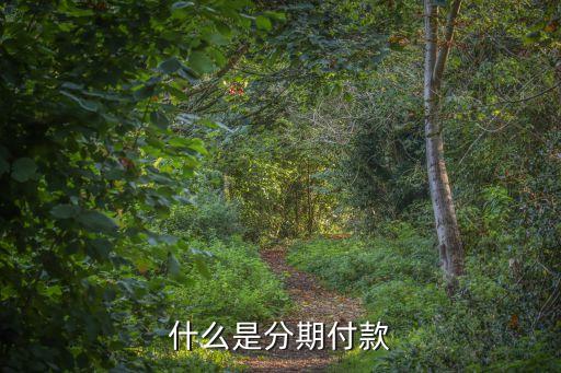 什么是分期付款