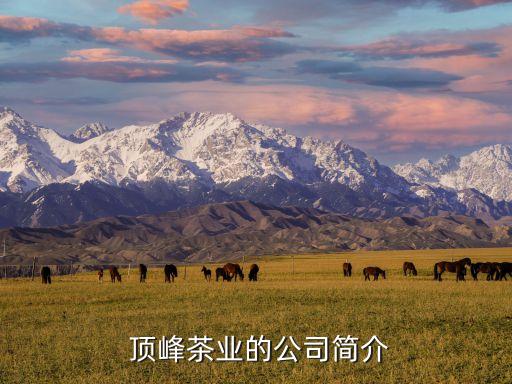  顶峰茶业的公司简介