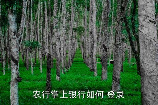 企业农业网银手机怎么登录,农业企业会计科目一览表