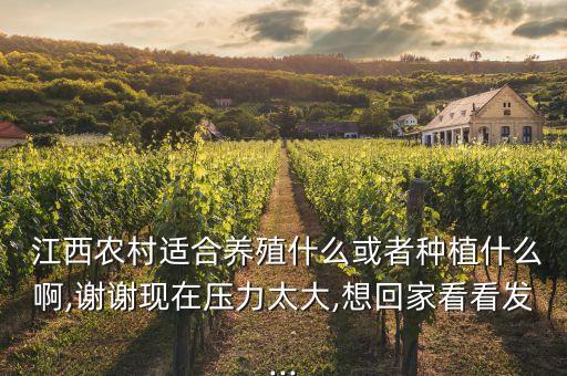 江西种什么农业,江西农业农村厅