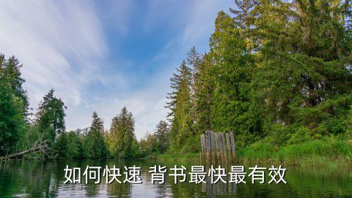 如何快速 背书最快最有效