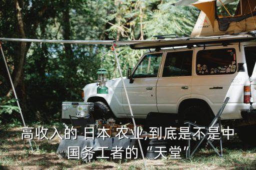 高收入的 日本 农业,到底是不是中国务工者的“天堂”
