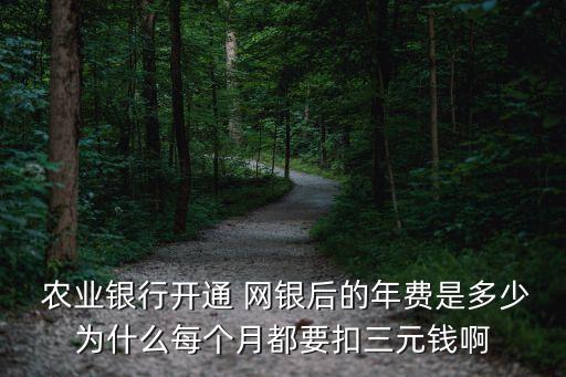 农业企业网银怎么交年费
